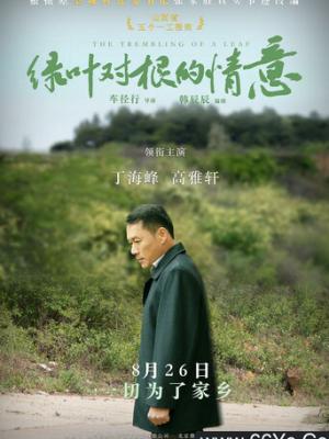 余晖之恋